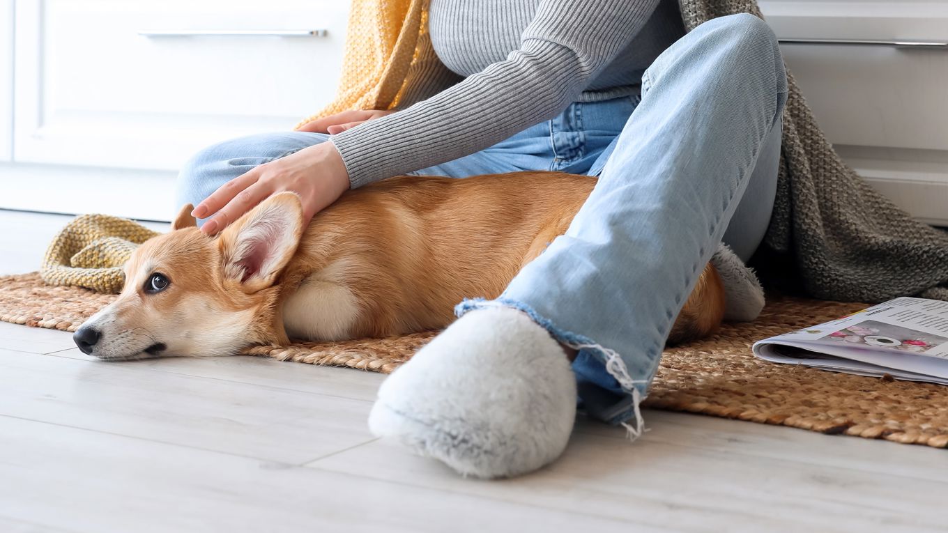 Noen som sitter på gulvet med en hund